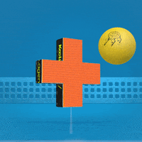 Ping Pong 3D GIF by Kochstrasse™