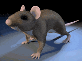 c4d GIF by Martin Onassis