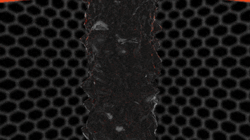 c4d GIF by Martin Onassis