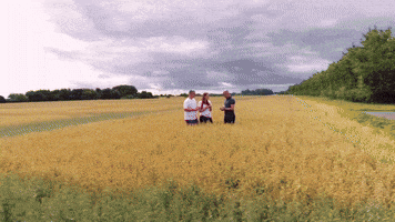 Ausbildung: Verfahrenstechnologe (m/w/d) in der Mühlen- und Getreidewirtschaft – H. & J. Brüggen KG