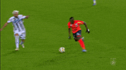 Sakic Tackling GIF by SK Sturm