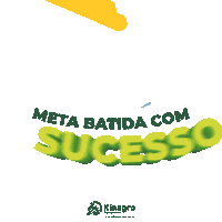 Star Sucesso Sticker by Kinagro