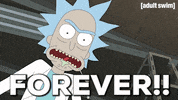 Season 3 Episode 301 GIF by Rick and Morty