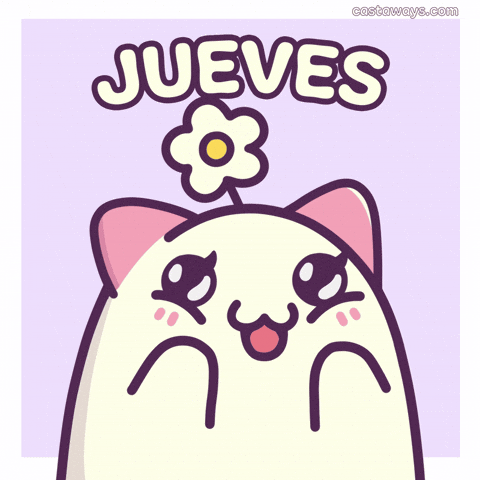 Happy Cat GIF by Castaways