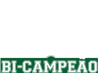 Futebol Libertadores Sticker by Mancha Verde