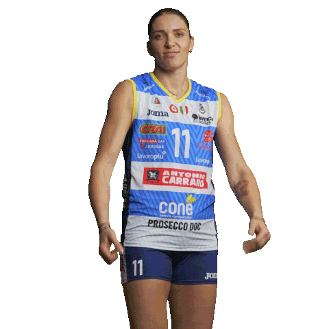 Volleyball Celebrate Sticker by ImocoVolley