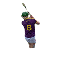 bord gais hurling Sticker by Bord Gáis Energy