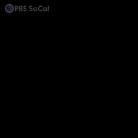 Nicole Kidman Yes GIF by PBS SoCal