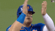 Happy Major League Baseball GIF by New York Mets