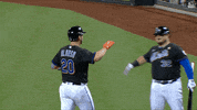 Ny Mets Hand Shake GIF by New York Mets