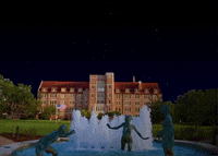 GIF by Florida State University