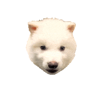 Dire Wolf Puppy Sticker by Colossal