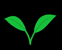 akiirarivero green plant glass cut GIF