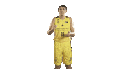 Liga Endesa Basketball Sticker by ACB