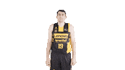 Celebrar Liga Endesa Sticker by ACB