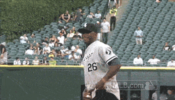 cws GIF by MLB