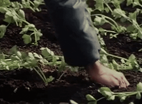 Farmer Agriculture GIF by Archives of Ontario | Archives publiques de l'Ontario
