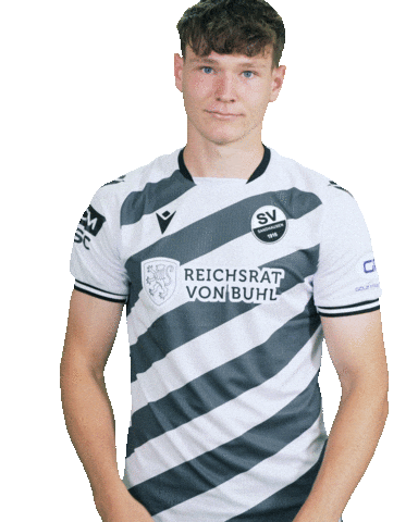 Richard Meier 3Liga Sticker by SV Sandhausen