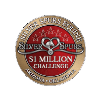 Mdc Reining Sticker by Silver Spurs Equine