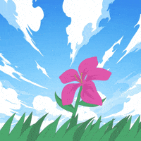 Pink Wind GIF