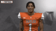 Cnfb GIF by Carson-Newman Athletics