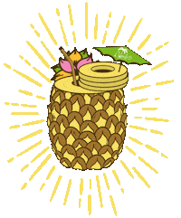 Summer Sun Sticker by Drink Nauti