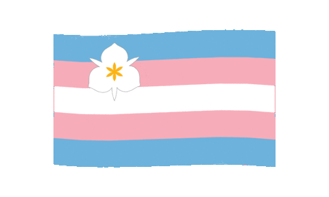 Slc Transgender Pride Sticker by Salt Lake City Government