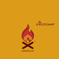 Exoticamp forest camping tent campsite GIF