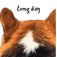 Corgi Milo Sticker