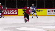 GIF by International Ice Hockey Federation
