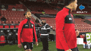 Premier League Football GIF by MolaTV