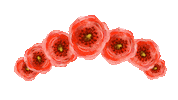 flowers poland Sticker by Facebook Polska