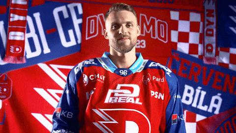 Hockeytown GIF by HC Dynamo Pardubice
