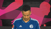 Schalke S04 GIF by Bundesliga