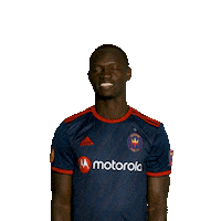 Chicago Fire Reaction Sticker by Chicago Fire Football Club