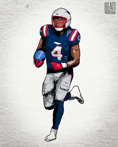 New England Patriots Football GIF