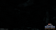 Black Panther Hiding GIF by Marvel Studios