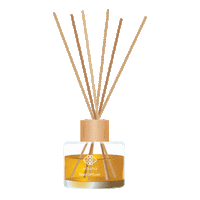 Interior Design Beauty Sticker by Vilunü