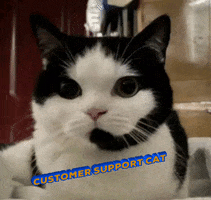 Customer Support Cat GIF by el