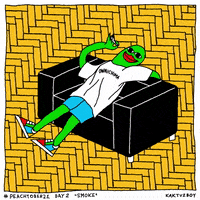 Cat Smoking GIF by KAKTUZBOY