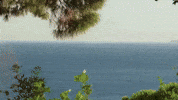 Travel Voyage GIF by Casol