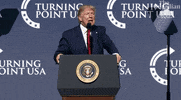 Donald Trump Windmill GIF