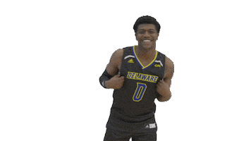Fun Basketball Sticker by Delaware Blue Hens