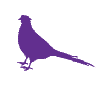 Pheasant Apetite Sticker by A PET STORE