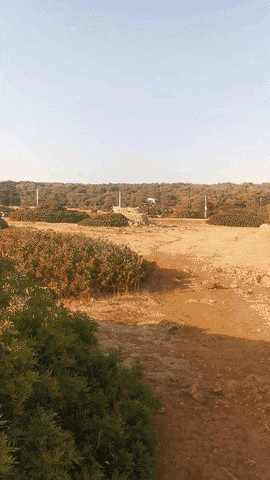 natsumin2021 giphyupload GIF