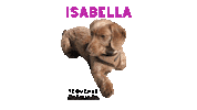 Isabella Sticker by TequeNYC