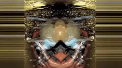 music video mv GIF by Lady Gaga