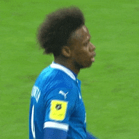 Football Футбол GIF by FC Dynamo Moscow