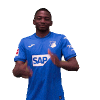 Sport Bundesliga Sticker by TSG Hoffenheim