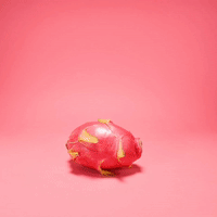 GIF by Evan Hilton